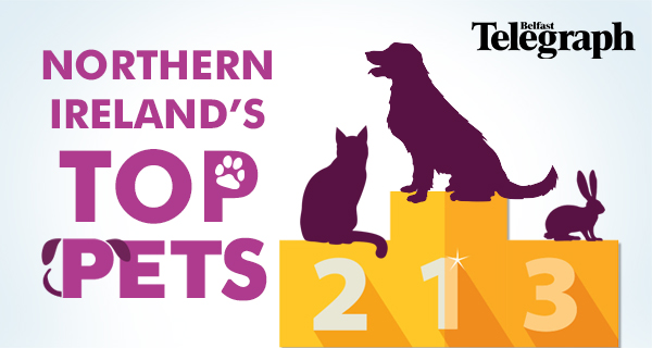 Northern Ireland’s Top Pets: Nominate your pet today for your chance to win one of thirty pairs of tickets for the Belfast Telegraph Pet Expo!